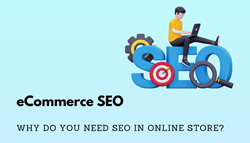 LA E-commerce SEO Case Study Results